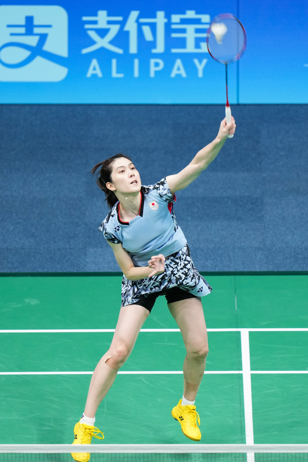 提供了重要 提供了重要